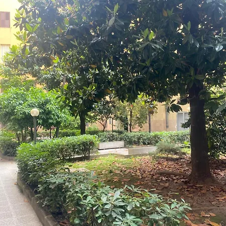 Casa Leone *
